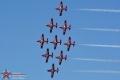 Canadian Snowbirds