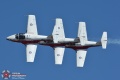 Canadian Snowbirds