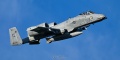 SHARK22_79-0095_A-10C-2933.jpg