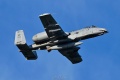 SHARK23_80-0273_A-10C-2990.jpg