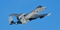SHARK24_78-0586_A-10C-3160.jpg