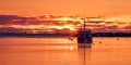 Seacoast_Sunrise_1-9-24-5675.jpg