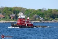 Tug_6231.jpg