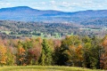 VT_Foliage-0065.jpg