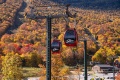 Vermont_Foliage_10_11_19-8931.jpg