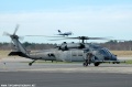 pavehawk038.jpg