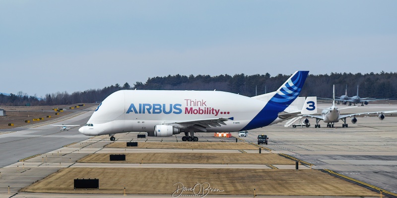 Beluga Carrier heading to Kennedy Space Center
A300-608ST / F-GSTC
Airbus
2/5/23
Keywords: Airbus Aviation, KPSM, Pease, Portsmouth Airport, A300-608ST