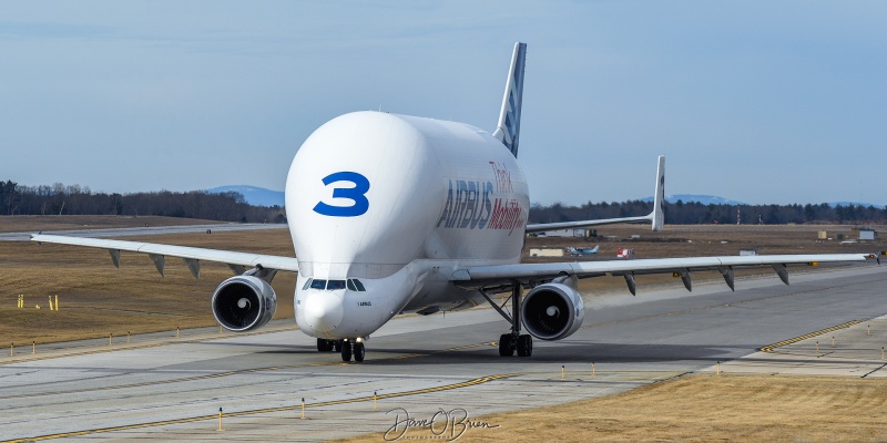 Beluga Carrier heading to Kennedy Space Center
A300-608ST / F-GSTC
Airbus
2/5/23
Keywords: Airbus Aviation, KPSM, Pease, Portsmouth Airport, A300-608ST